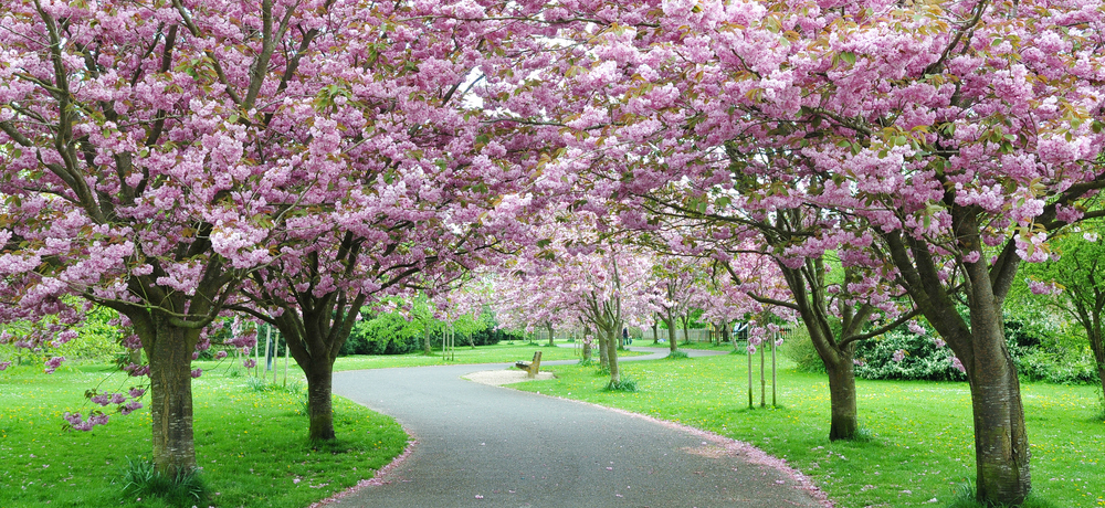 springoutside.jpg